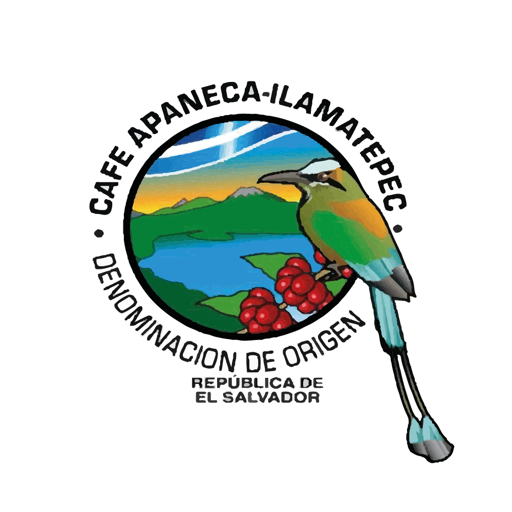 logos-certificaciónes-BN_Mesa-de-trabajo-1
